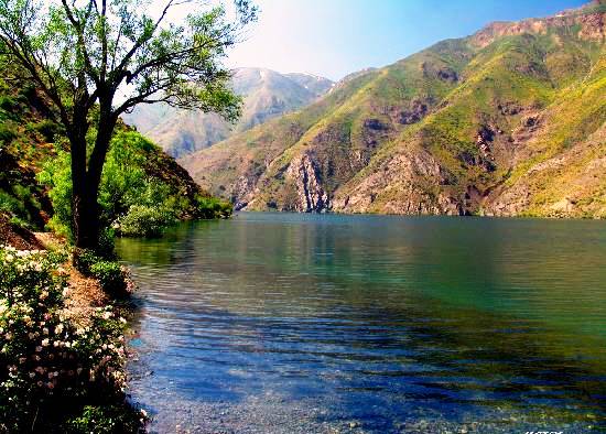 زاگرس