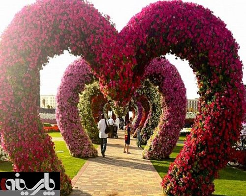 فستیوال گل در دبی با 45 میلیون گل