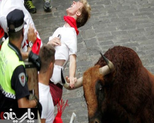 ده‌ها زخمی در فستیوال گاوبازی اسپانیا