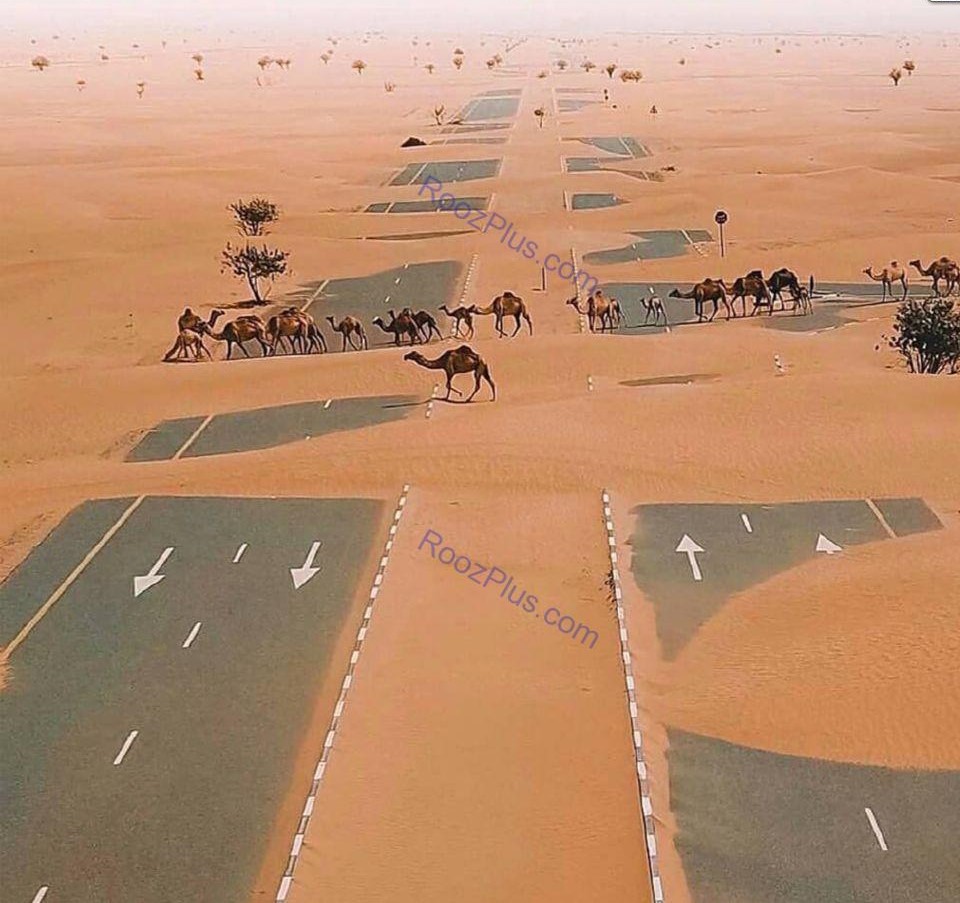تصویری جالب از آزاد راه منتهی به ابوظبی