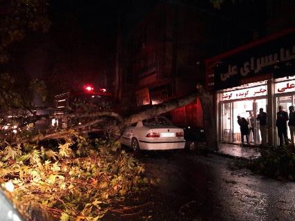 طوفان در گرگان خسارت به بار آورد