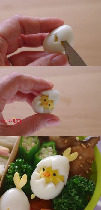 چگونه کوچولوهایتان را تخم مرغ خورکنید+عکس