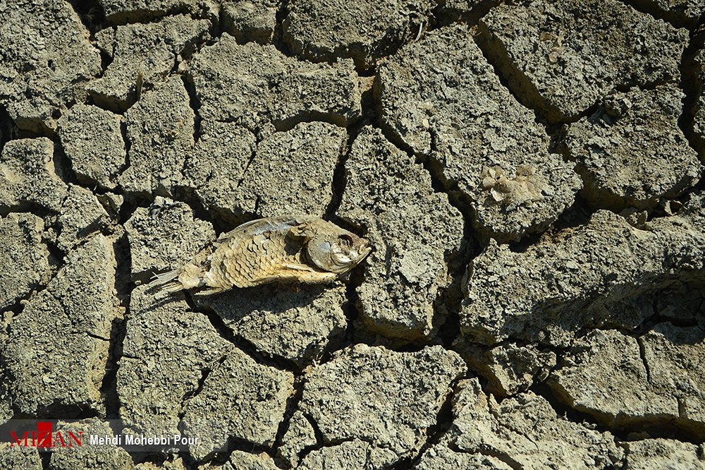 خشک شدن دریاچه عباس آباد - بهشهر