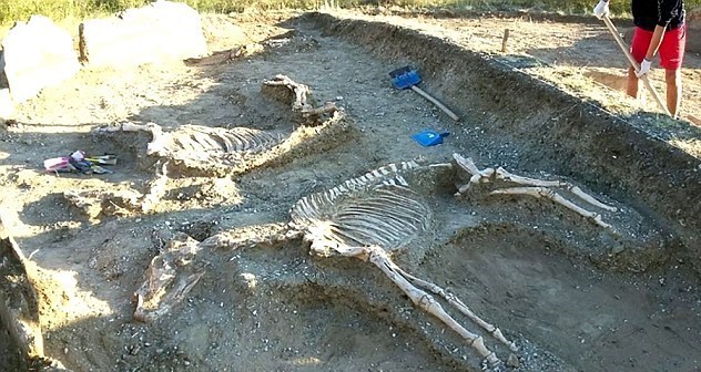 اسکلت ۵ هزار ساله یک زن و مرد کشف شد+تصاویر