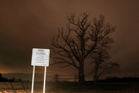 درخت شیطان، درختی نفرین شده در آمریکا