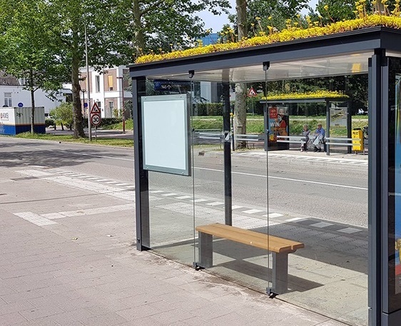 ابتکار یک شهرداری در هلند؛ ایستگاه اتوبوس برای زنبورها!