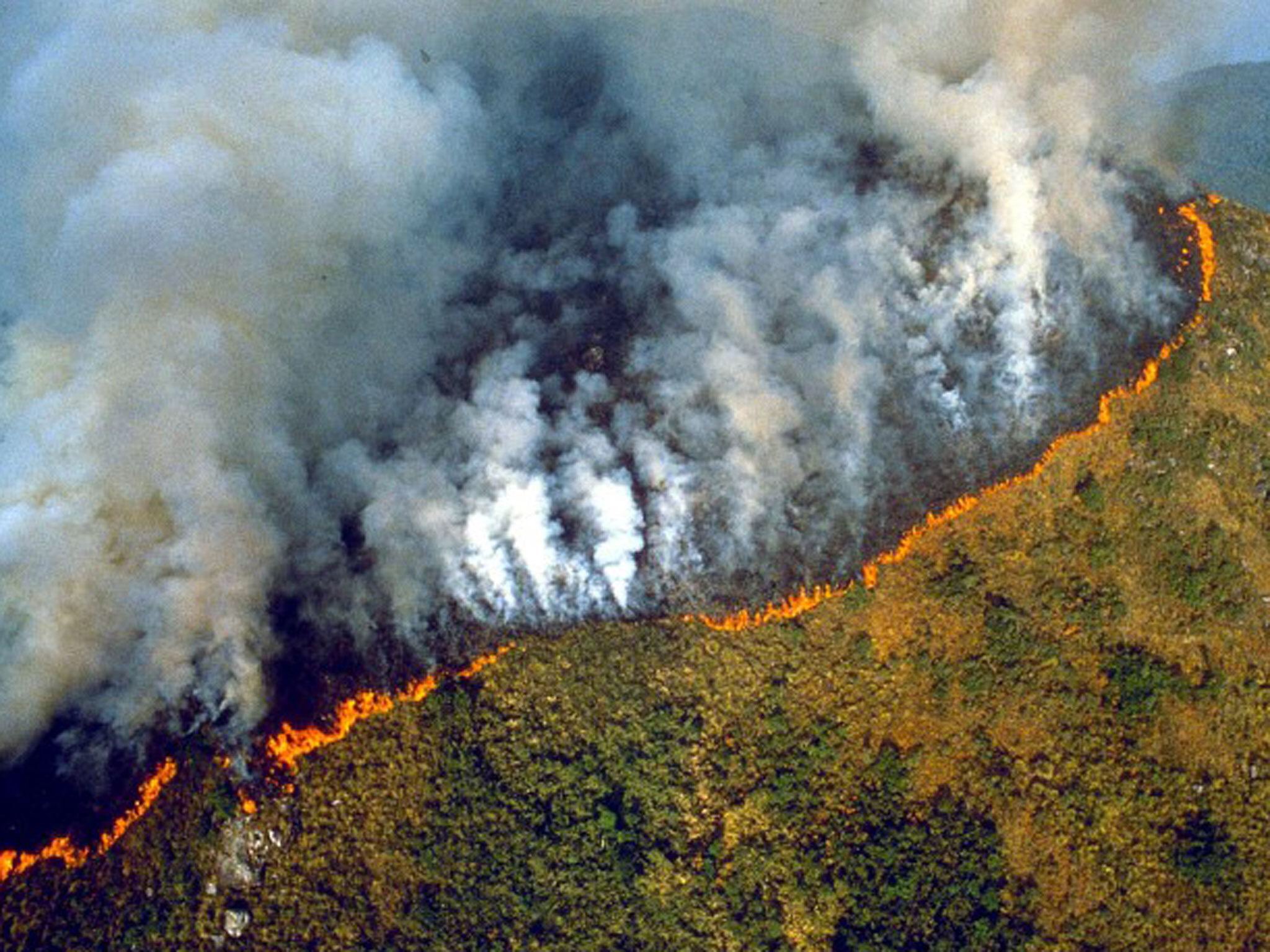 آتش سوزی های تکان دهنده در جنگل‌های آمازون