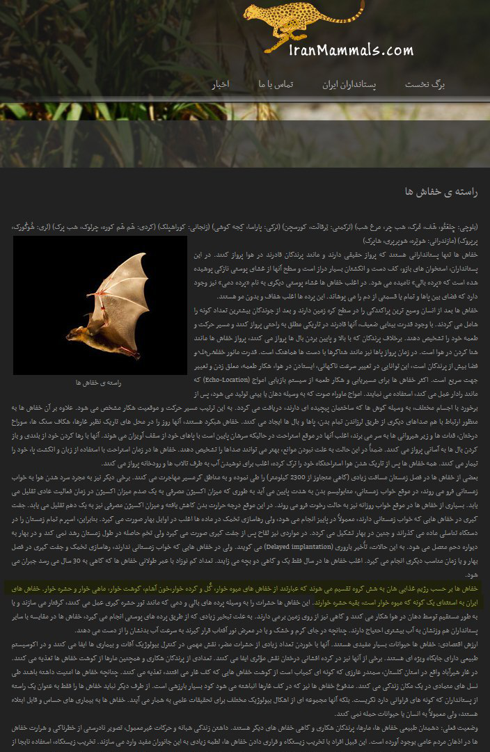 شایعه صادرات خفاش توسط هواپیمایی ماهان