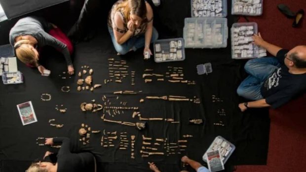 پیچیده تر شدن داستان تکامل انسان با کشف یک قبر قدیمی عجیب در آفریقا