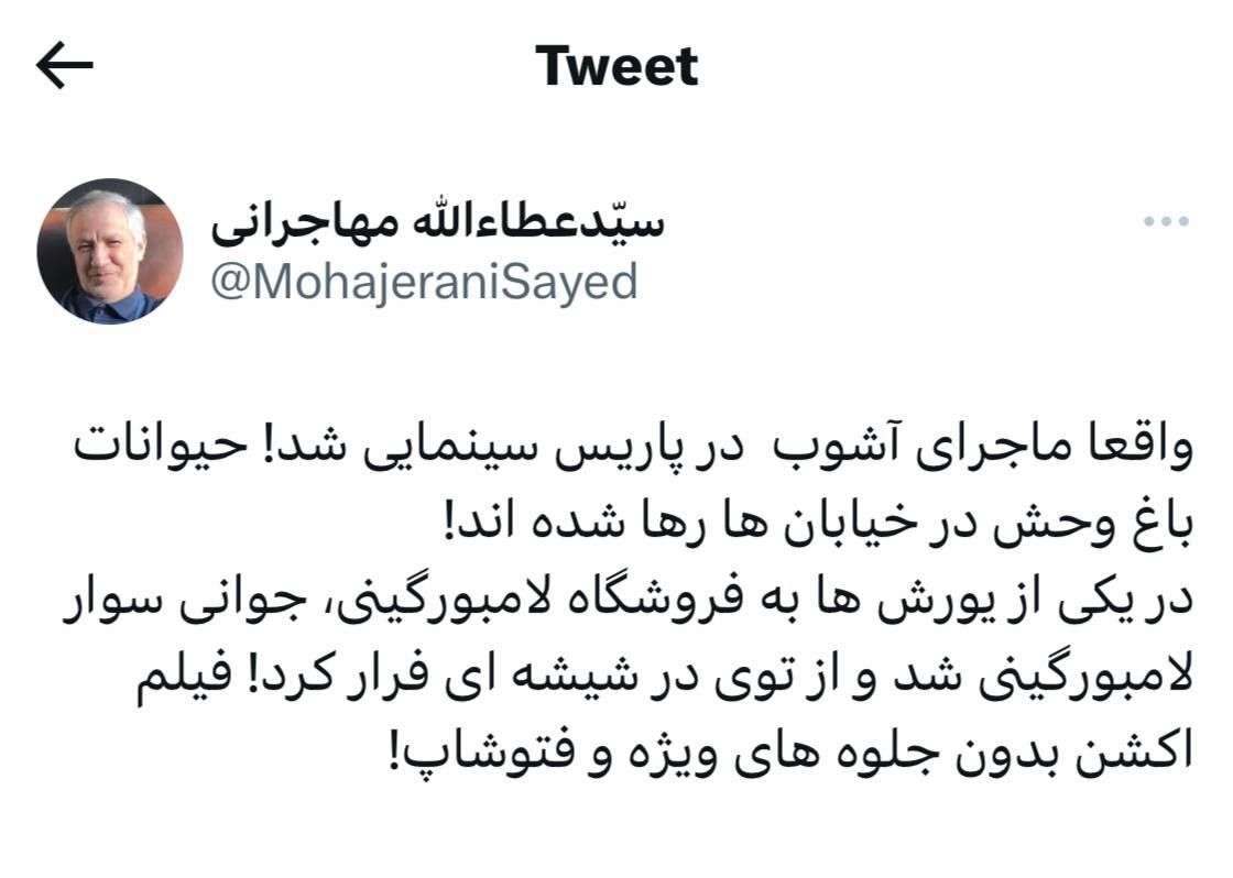 واکنش توئیتری عجیب مهاجرانی به اتفاقات پاریس: «حیوانات باغ وحش در خیابان ها رها شده اند»! واکنش توئیتری عجیب مهاجرانی به اتفاقات پاریس: «حیوانات باغ وحش در خیابان ها رها شده اند»!