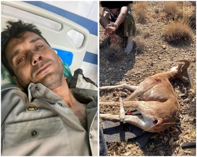 محیط‌بان شاهرودی توسط شکارچیان غیرمجاز مجروح شد