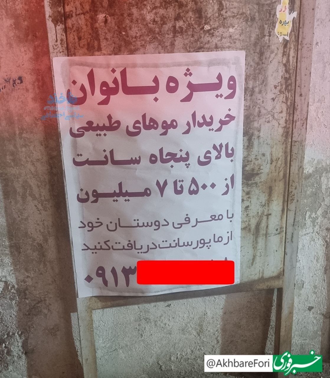 تجارتی پر سود با فروش موی زنان+ عکس