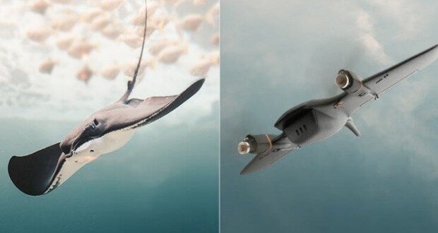 پهپاد جدید شیائومی با ظاهری شبیه به سفینه‌های فضایی