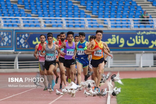 کبوتر‌های دردسرساز در مسابقات دوومیدانی مشهد + عکس