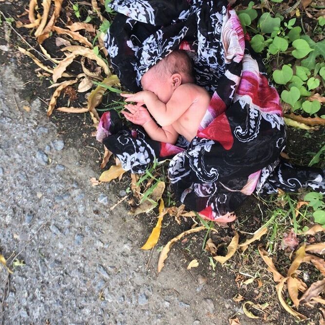 خورده شدن انگشتان یک نوزاد توسط موش‌ها+عکس