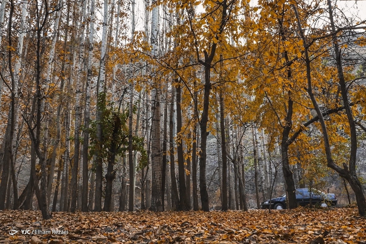 طبیعت زیبای جاده چالوس در پاییز