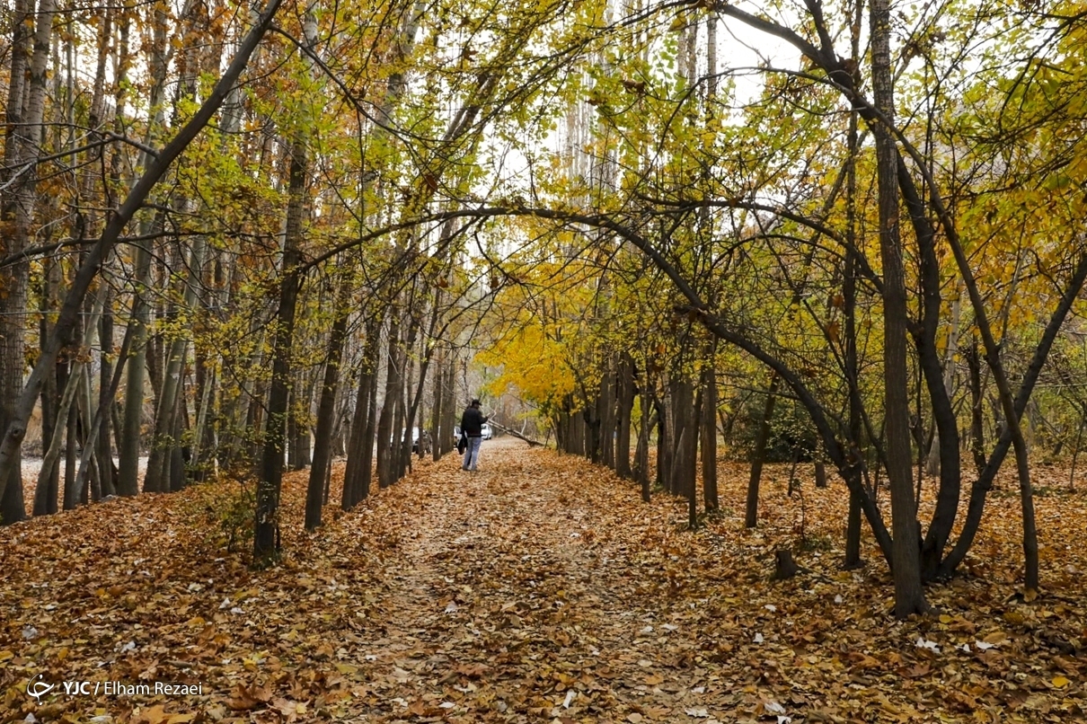 طبیعت زیبای جاده چالوس در پاییز