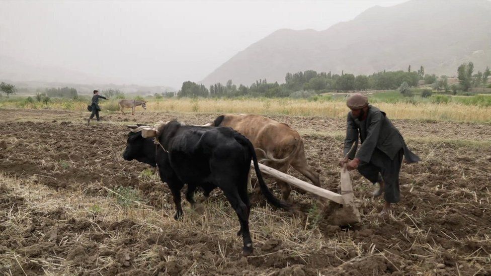 مبارزه نیروهای مقاومت دره پنجشیر علیه طالبان به کجا رسید؟