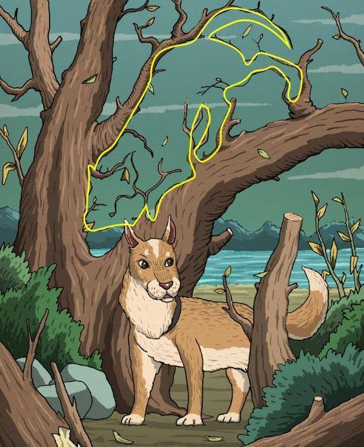 جواب تست توهم نوری