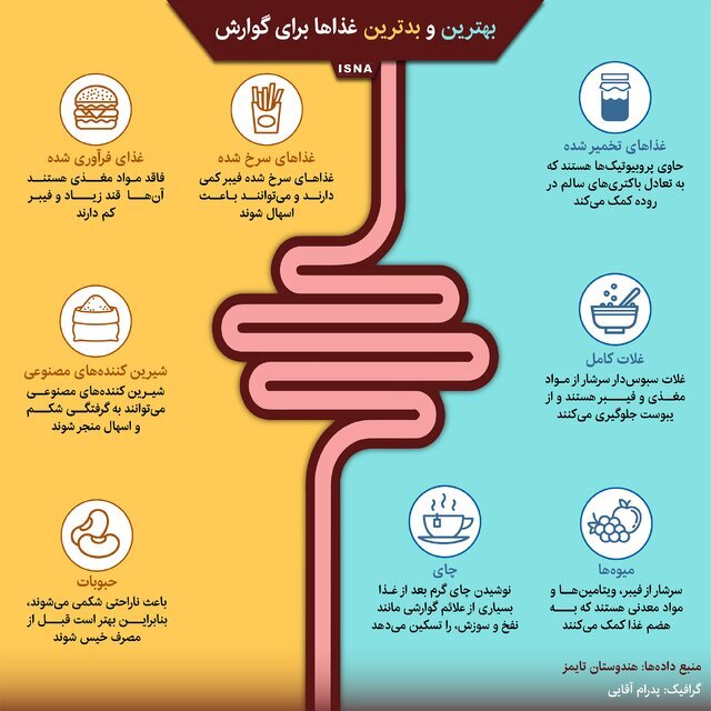 بهترین و بدترین غذاها برای فرآیند هضم