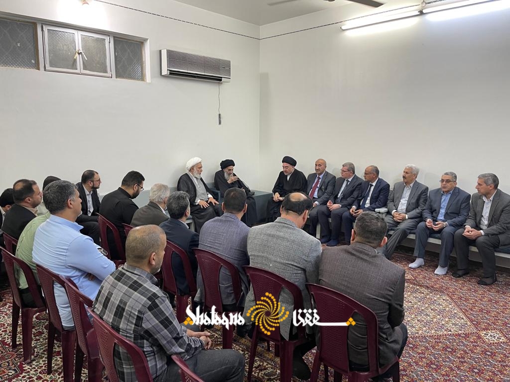 دیدار پزشکان نجف اشرف با حضرت آیت الله سیستانی+ تصاویر