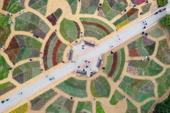 نمایشگاه سالانه رژه لاله ها در باغ گیاه شناسی روسیه