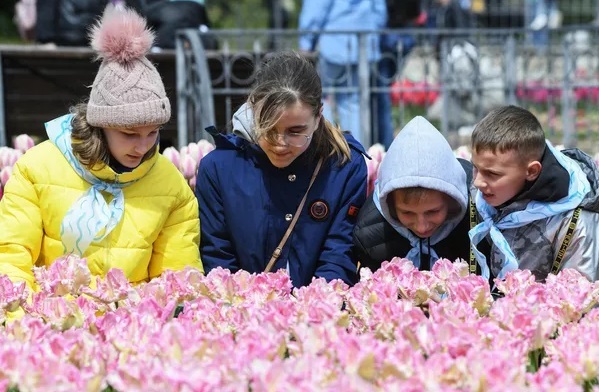 نمایشگاه سالانه رژه لاله ها در باغ گیاه شناسی روسیه