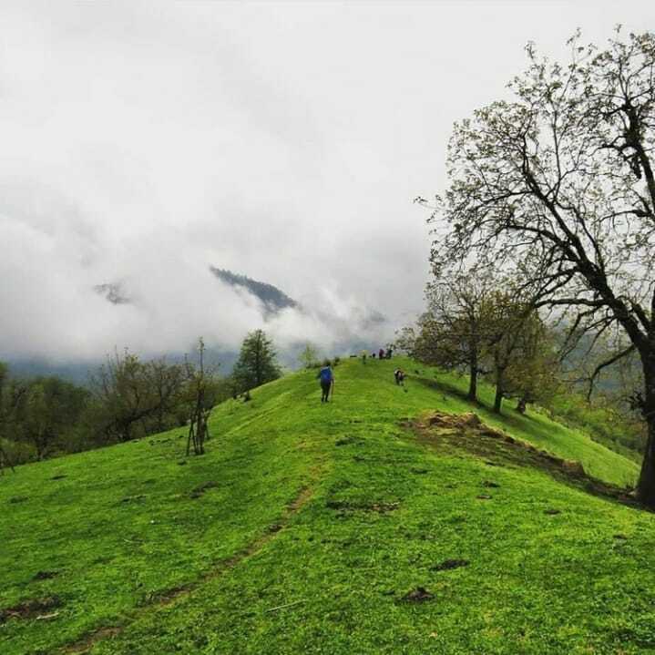 دریاچه شگفت انگیزی‌ که در میان چمنزارها مخفی است+ تصاویر