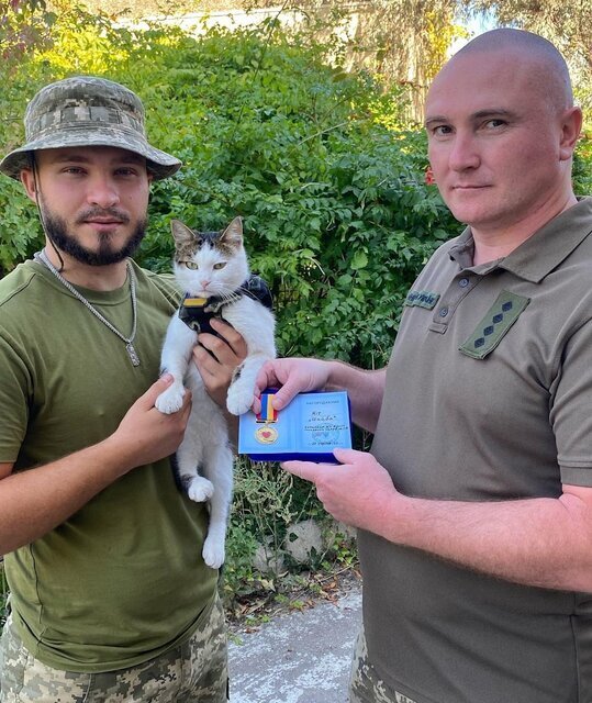 اعزام گربه به خط مقدم جنگ در اوکراین+عکس